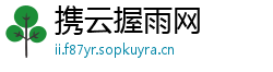 携云握雨网